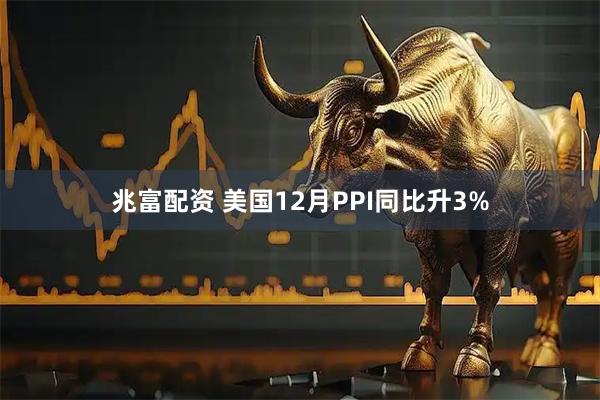 兆富配资 美国12月PPI同比升3%