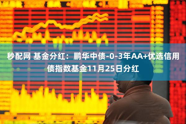 秒配网 基金分红:鹏华中债-0-3年AA+优选信用债指数基金11月25日分红
