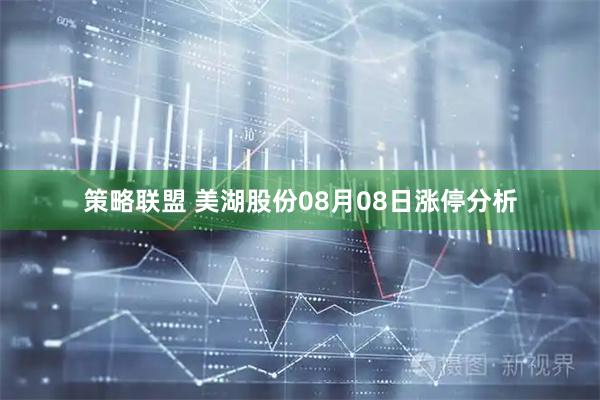 策略联盟 美湖股份08月08日涨停分析